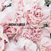 Los Amores Recientes - Bachata Rosa - Single